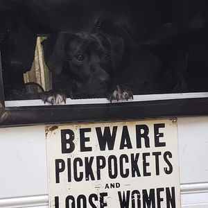 Meet your Posher, Jane